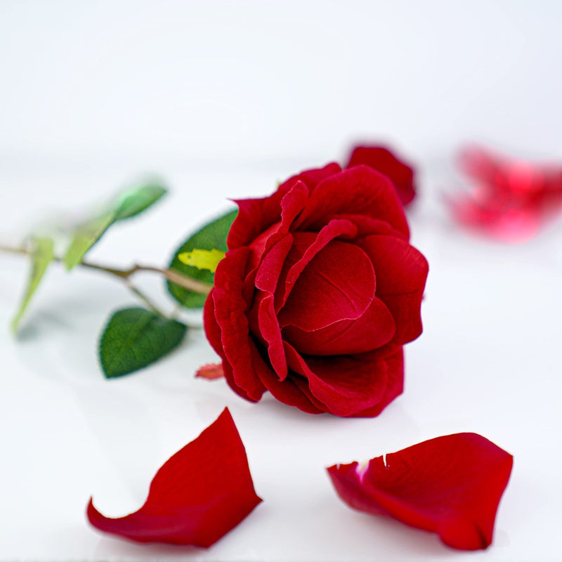 Noble Pack Noble Rose Ring Box - Flower Heart Engagement Ring Box for Proposal Ring, Ceremony, Wedding or Special Occasions (Red) - Image 5